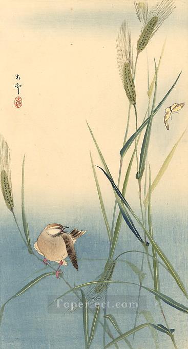 songbird on barley stalk Ohara Koson birds Oil Paintings